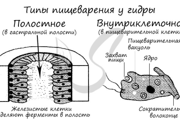 Кракен крипто