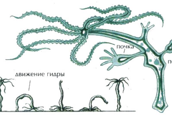 Кракен маркет тор