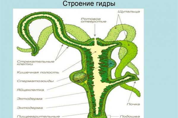 Kraken ссылка тор 2krnk biz kraken17ate pro